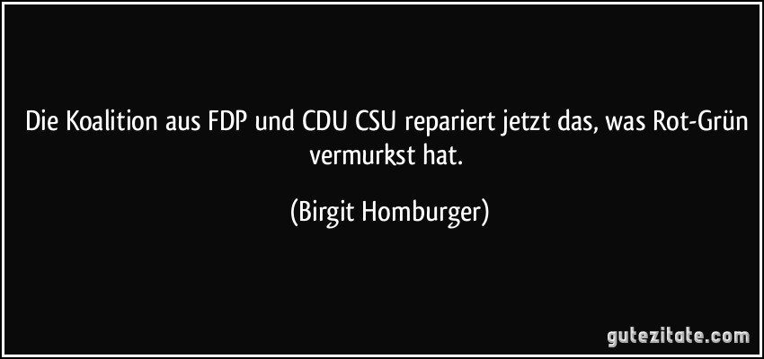 Die Koalition aus FDP und CDU/CSU repariert jetzt das, was Rot-Grün vermurkst hat. (Birgit Homburger)