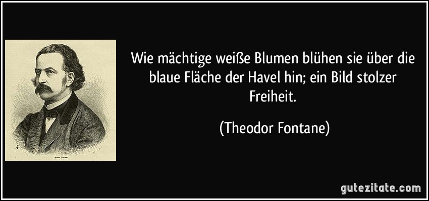 Wie mächtige weiße Blumen blühen sie über die blaue Fläche der Havel hin; ein Bild stolzer Freiheit. (Theodor Fontane)