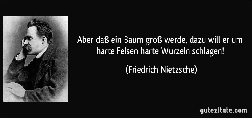 Aber daß ein Baum groß werde, dazu will er um harte Felsen harte Wurzeln schlagen! (Friedrich Nietzsche)