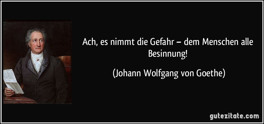 Ach, es nimmt die Gefahr – dem Menschen alle Besinnung! (Johann Wolfgang von Goethe)