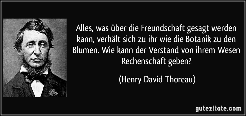 Alles, was über die Freundschaft gesagt werden kann, verhält sich zu ihr wie die Botanik zu den Blumen. Wie kann der Verstand von ihrem Wesen Rechenschaft geben? (Henry David Thoreau)