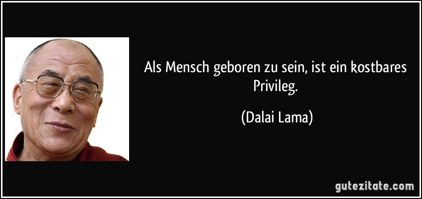 Als Mensch geboren zu sein, ist ein kostbares Privileg. (Dalai Lama)