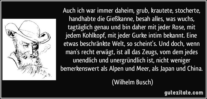 Auch ich war immer daheim, grub, krautete, stocherte, handhabte die Gießkanne, besah alles, was wuchs, tagtäglich genau und bin daher mit jeder Rose, mit jedem Kohlkopf, mit jeder Gurke intim bekannt. Eine etwas beschränkte Welt, so scheint's. Und doch, wenn man's recht erwägt, ist all das Zeugs, vom dem jedes unendlich und unergründlich ist, nicht weniger bemerkenswert als Alpen und Meer, als Japan und China. (Wilhelm Busch)