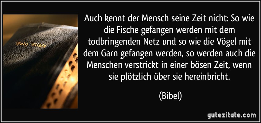 Auch kennt der Mensch seine Zeit nicht: So wie die Fische gefangen werden mit dem todbringenden Netz und so wie die Vögel mit dem Garn gefangen werden, so werden auch die Menschen verstrickt in einer bösen Zeit, wenn sie plötzlich über sie hereinbricht. (Bibel)