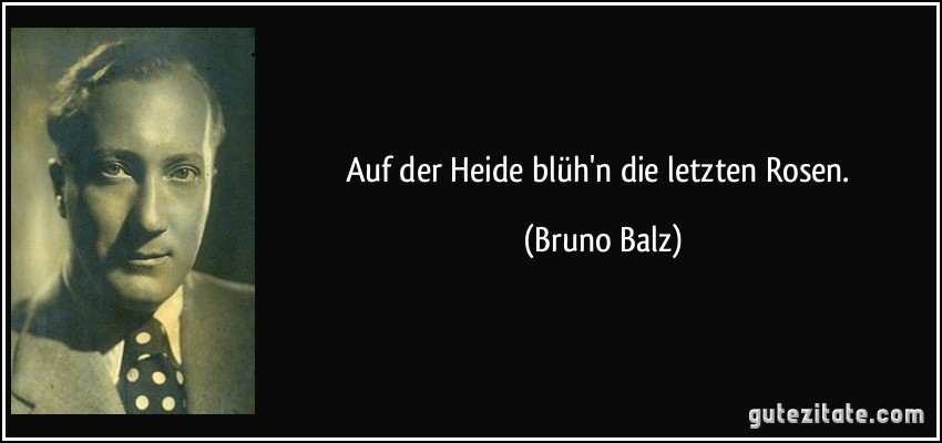 Auf der Heide blüh'n die letzten Rosen. (Bruno Balz)