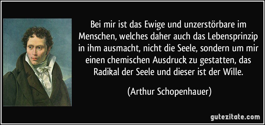 Bei mir ist das Ewige und unzerstörbare im Menschen, welches daher auch das Lebensprinzip in ihm ausmacht, nicht die Seele, sondern um mir einen chemischen Ausdruck zu gestatten, das Radikal der Seele und dieser ist der Wille. (Arthur Schopenhauer)