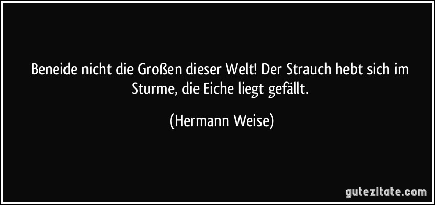 Beneide nicht die Großen dieser Welt! Der Strauch hebt sich im Sturme, die Eiche liegt gefällt. (Hermann Weise)