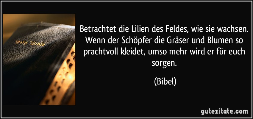 Betrachtet die Lilien des Feldes, wie sie wachsen. Wenn der Schöpfer die Gräser und Blumen so prachtvoll kleidet, umso mehr wird er für euch sorgen. (Bibel)