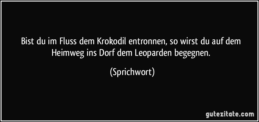 Bist du im Fluss dem Krokodil entronnen, so wirst du auf dem Heimweg ins Dorf dem Leoparden begegnen. (Sprichwort)