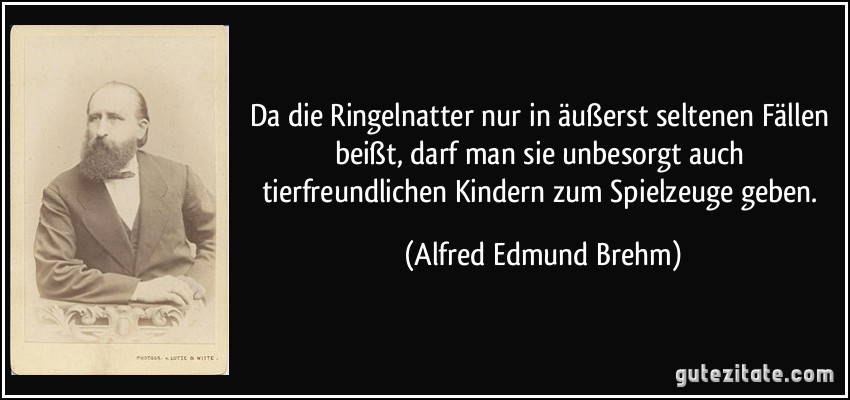 Da die Ringelnatter nur in äußerst seltenen Fällen beißt, darf man sie unbesorgt auch tierfreundlichen Kindern zum Spielzeuge geben. (Alfred Edmund Brehm)