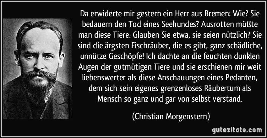 Da erwiderte mir gestern ein Herr aus Bremen: Wie? Sie bedauern den Tod eines Seehundes? Ausrotten müßte man diese Tiere. Glauben Sie etwa, sie seien nützlich? Sie sind die ärgsten Fischräuber, die es gibt, ganz schädliche, unnütze Geschöpfe! Ich dachte an die feuchten dunklen Augen der gutmütigen Tiere und sie erschienen mir weit liebenswerter als diese Anschauungen eines Pedanten, dem sich sein eigenes grenzenloses Räubertum als Mensch so ganz und gar von selbst verstand. (Christian Morgenstern)