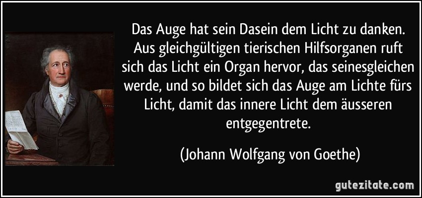 Das Auge hat sein Dasein dem Licht zu danken. Aus gleichgültigen tierischen Hilfsorganen ruft sich das Licht ein Organ hervor, das seinesgleichen werde, und so bildet sich das Auge am Lichte fürs Licht, damit das innere Licht dem äusseren entgegentrete. (Johann Wolfgang von Goethe)