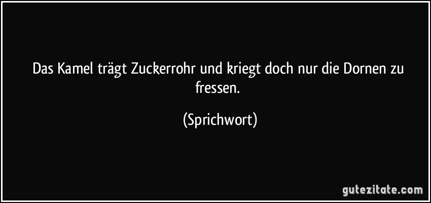 Das Kamel trägt Zuckerrohr und kriegt doch nur die Dornen zu fressen. (Sprichwort)