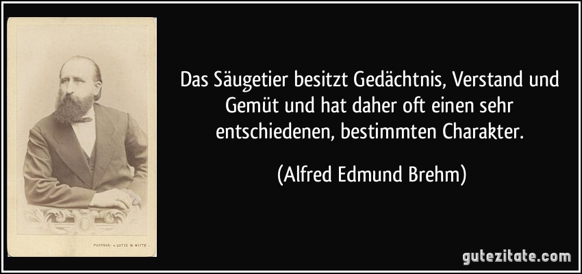 Das Säugetier besitzt Gedächtnis, Verstand und Gemüt und hat daher oft einen sehr entschiedenen, bestimmten Charakter. (Alfred Edmund Brehm)