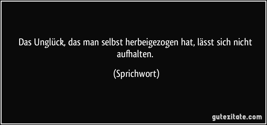 Das Unglück, das man selbst herbeigezogen hat, lässt sich nicht aufhalten. (Sprichwort)