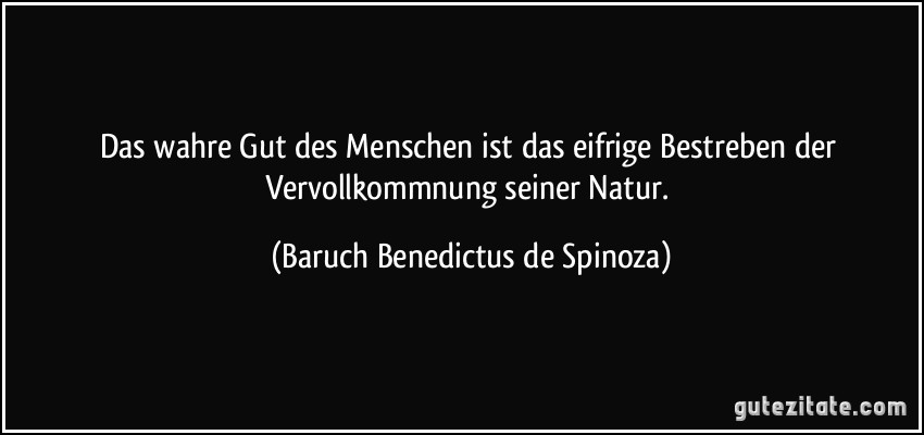 Das wahre Gut des Menschen ist das eifrige Bestreben der Vervollkommnung seiner Natur. (Baruch Benedictus de Spinoza)