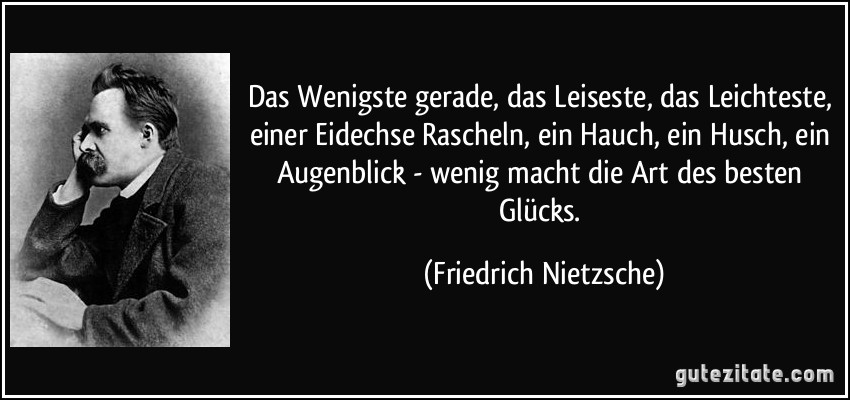 Das Wenigste gerade, das Leiseste, das Leichteste, einer Eidechse Rascheln, ein Hauch, ein Husch, ein Augenblick - wenig macht die Art des besten Glücks. (Friedrich Nietzsche)