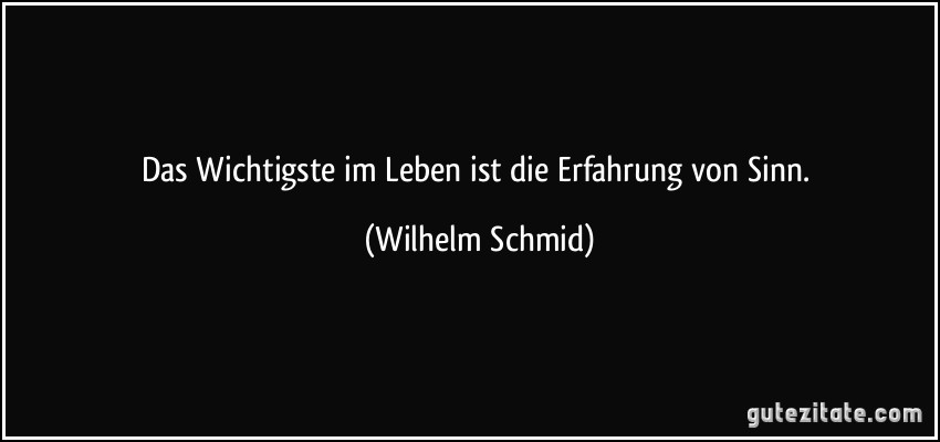 Das Wichtigste im Leben ist die Erfahrung von Sinn. (Wilhelm Schmid)