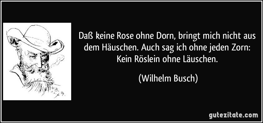 Daß keine Rose ohne Dorn, bringt mich nicht aus dem Häuschen. Auch sag ich ohne jeden Zorn: Kein Röslein ohne Läuschen. (Wilhelm Busch)