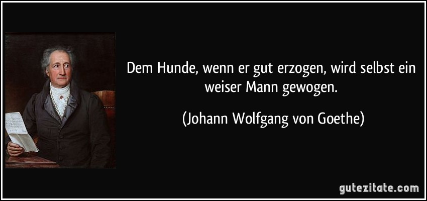 Dem Hunde, wenn er gut erzogen, wird selbst ein weiser Mann gewogen. (Johann Wolfgang von Goethe)