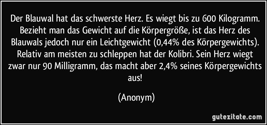 Der Blauwal hat das schwerste Herz. Es wiegt bis zu 600 Kilogramm. Bezieht man das Gewicht auf die Körpergröße, ist das Herz des Blauwals jedoch nur ein Leichtgewicht (0,44% des Körpergewichts). Relativ am meisten zu schleppen hat der Kolibri. Sein Herz wiegt zwar nur 90 Milligramm, das macht aber 2,4% seines Körpergewichts aus! (Anonym)