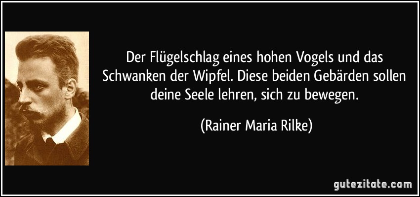 Der Flügelschlag eines hohen Vogels und das Schwanken der Wipfel. Diese beiden Gebärden sollen deine Seele lehren, sich zu bewegen. (Rainer Maria Rilke)