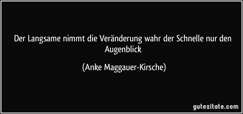 Der Langsame nimmt die Veränderung wahr der Schnelle nur den Augenblick (Anke Maggauer-Kirsche)