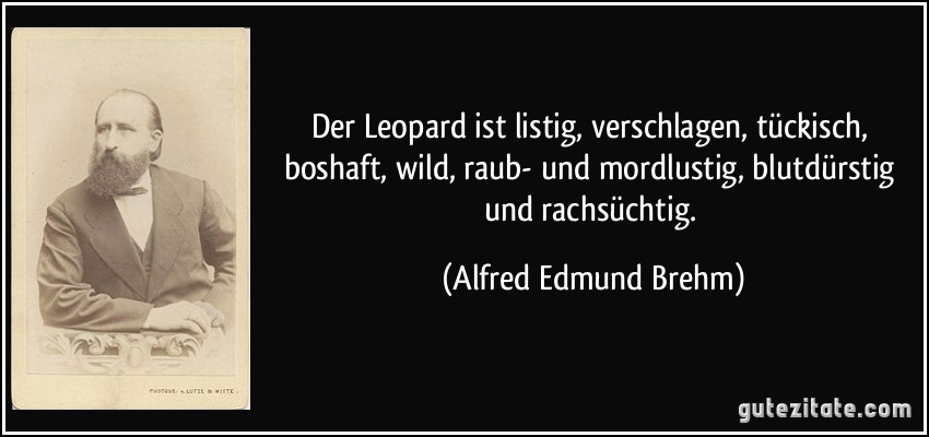 Der Leopard ist listig, verschlagen, tückisch, boshaft, wild, raub- und mordlustig, blutdürstig und rachsüchtig. (Alfred Edmund Brehm)