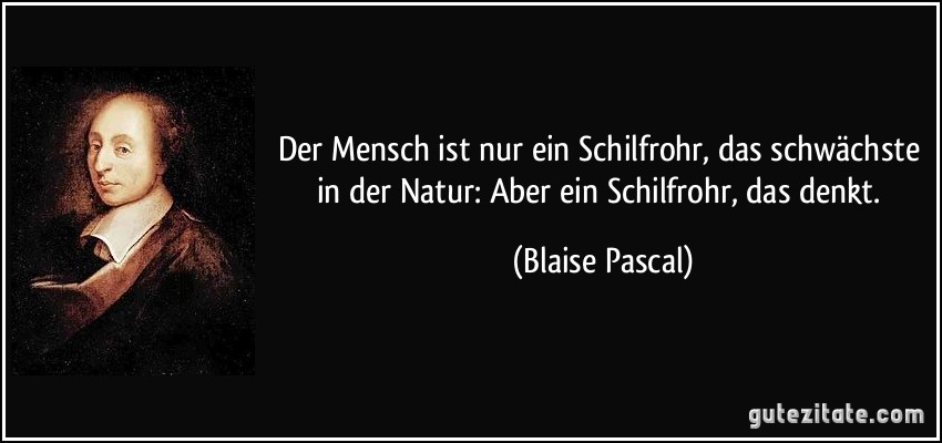 Der Mensch ist nur ein Schilfrohr, das schwächste in der Natur: Aber ein Schilfrohr, das denkt. (Blaise Pascal)