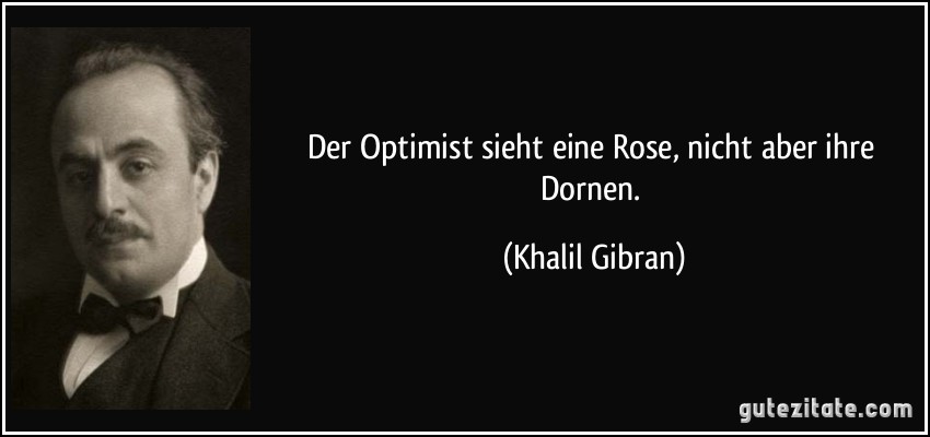 Der Optimist sieht eine Rose, nicht aber ihre Dornen. (Khalil Gibran)