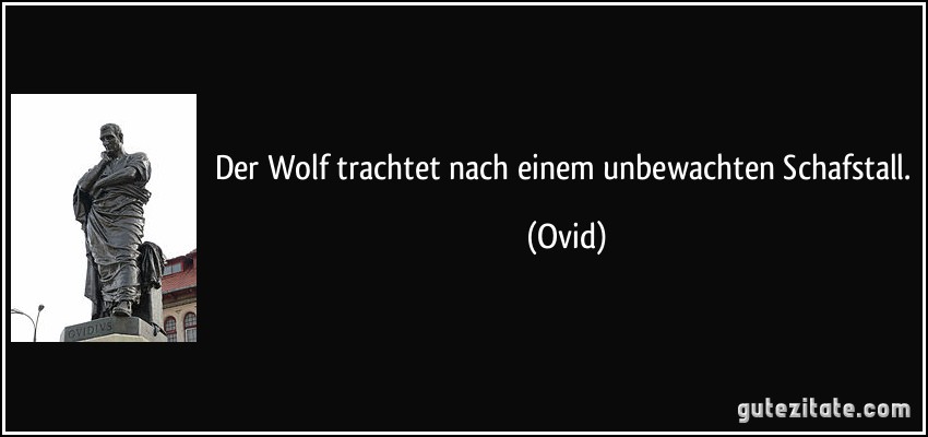 Der Wolf trachtet nach einem unbewachten Schafstall. (Ovid)