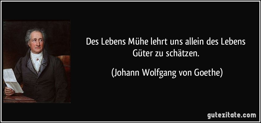 Des Lebens Mühe lehrt uns allein des Lebens Güter zu schätzen. (Johann Wolfgang von Goethe)