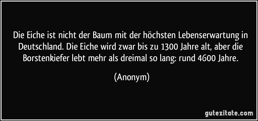 Die Eiche ist nicht der Baum mit der höchsten Lebenserwartung in Deutschland. Die Eiche wird zwar bis zu 1300 Jahre alt, aber die Borstenkiefer lebt mehr als dreimal so lang: rund 4600 Jahre. (Anonym)