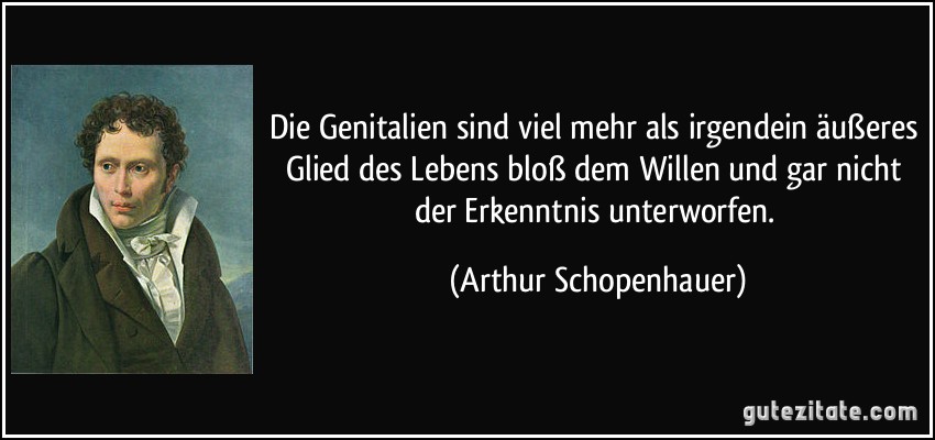 Die Genitalien sind viel mehr als irgendein äußeres Glied des Lebens bloß dem Willen und gar nicht der Erkenntnis unterworfen. (Arthur Schopenhauer)