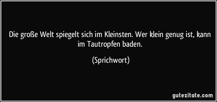 Die große Welt spiegelt sich im Kleinsten. Wer klein genug ist, kann im Tautropfen baden. (Sprichwort)