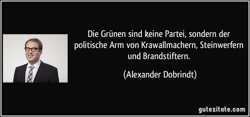 Die Grünen sind keine Partei, sondern der politische Arm von Krawallmachern, Steinwerfern und Brandstiftern. (Alexander Dobrindt)