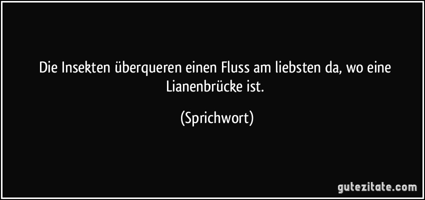 Die Insekten überqueren einen Fluss am liebsten da, wo eine Lianenbrücke ist. (Sprichwort)