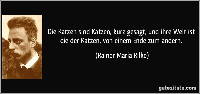 Die Katzen sind Katzen, kurz gesagt, und ihre Welt ist die der Katzen, von einem Ende zum andern. (Rainer Maria Rilke)
