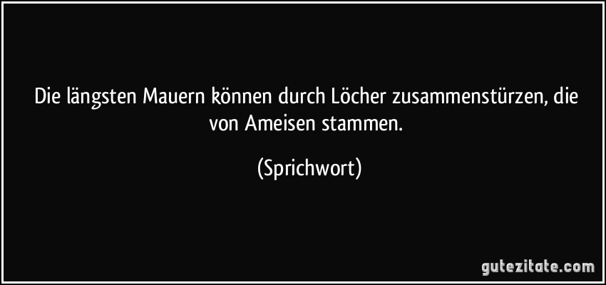 Die längsten Mauern können durch Löcher zusammenstürzen, die von Ameisen stammen. (Sprichwort)