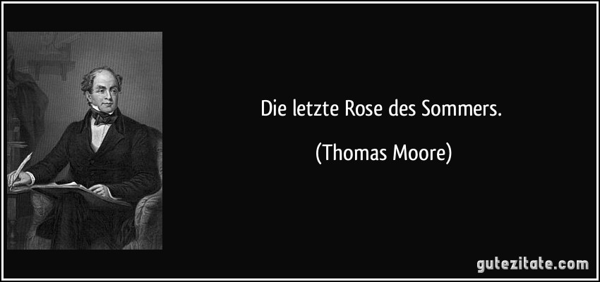 Die letzte Rose des Sommers. (Thomas Moore)