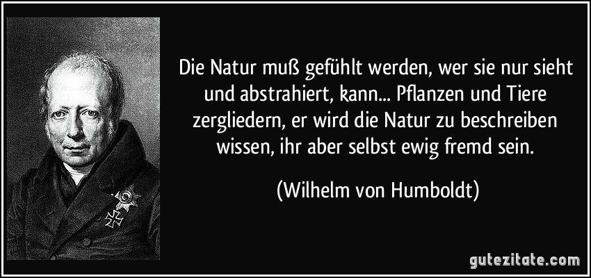 Die Natur muß gefühlt werden, wer sie nur sieht und abstrahiert, kann... Pflanzen und Tiere zergliedern, er wird die Natur zu beschreiben wissen, ihr aber selbst ewig fremd sein. (Wilhelm von Humboldt)
