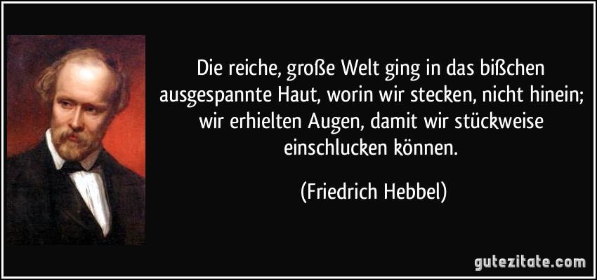 Die reiche, große Welt ging in das bißchen ausgespannte Haut, worin wir stecken, nicht hinein; wir erhielten Augen, damit wir stückweise einschlucken können. (Friedrich Hebbel)