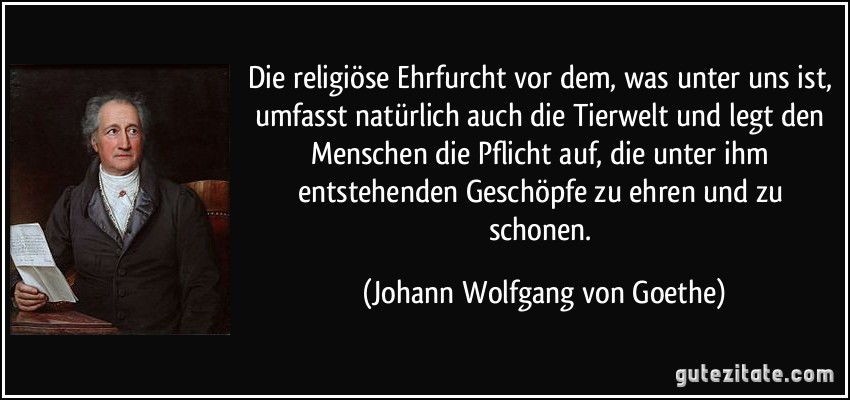 Die religiöse Ehrfurcht vor dem, was unter uns ist, umfasst natürlich auch die Tierwelt und legt den Menschen die Pflicht auf, die unter ihm entstehenden Geschöpfe zu ehren und zu schonen. (Johann Wolfgang von Goethe)