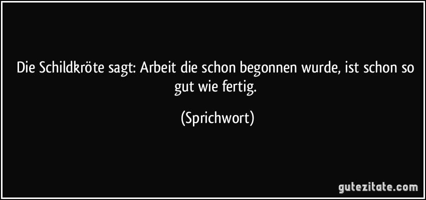 Die Schildkröte sagt: Arbeit die schon begonnen wurde, ist schon so gut wie fertig. (Sprichwort)
