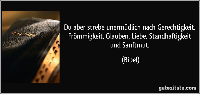 Du aber strebe unermüdlich nach Gerechtigkeit, Frömmigkeit, Glauben, Liebe, Standhaftigkeit und Sanftmut. (Bibel)