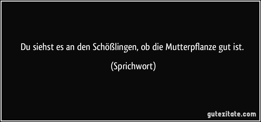 Du siehst es an den Schößlingen, ob die Mutterpflanze gut ist. (Sprichwort)