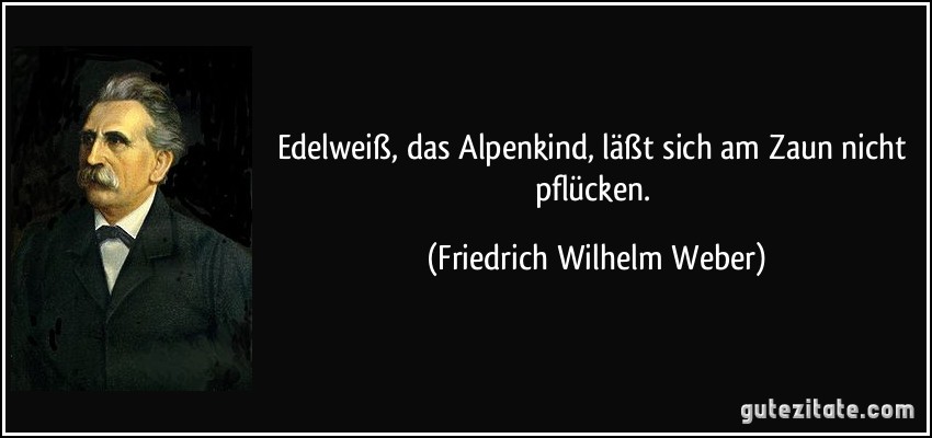 Edelweiß, das Alpenkind, läßt sich am Zaun nicht pflücken. (Friedrich Wilhelm Weber)