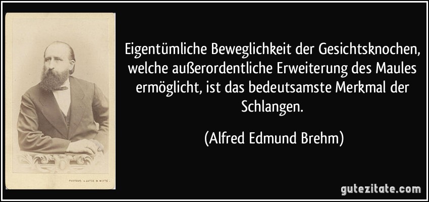 Eigentümliche Beweglichkeit der Gesichtsknochen, welche außerordentliche Erweiterung des Maules ermöglicht, ist das bedeutsamste Merkmal der Schlangen. (Alfred Edmund Brehm)