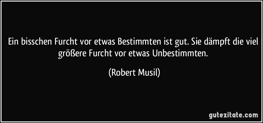 Ein bisschen Furcht vor etwas Bestimmten ist gut. Sie dämpft die viel größere Furcht vor etwas Unbestimmten. (Robert Musil)