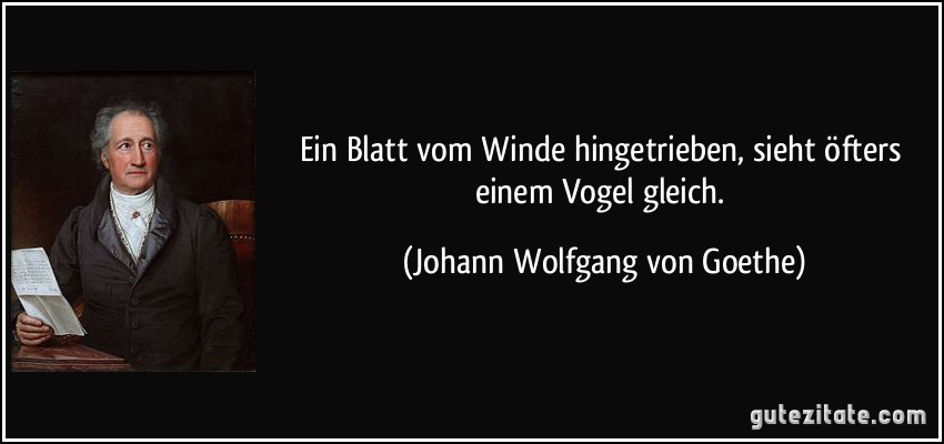 Ein Blatt vom Winde hingetrieben, sieht öfters einem Vogel gleich. (Johann Wolfgang von Goethe)